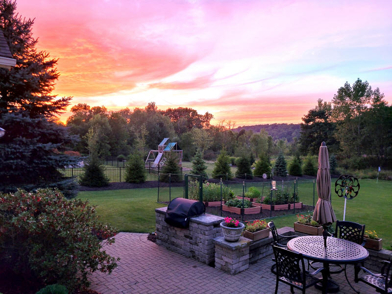 Sunset in Backyard