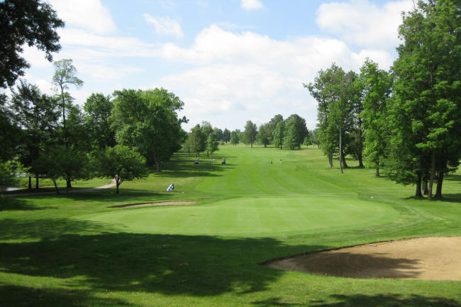 Raintree No 9